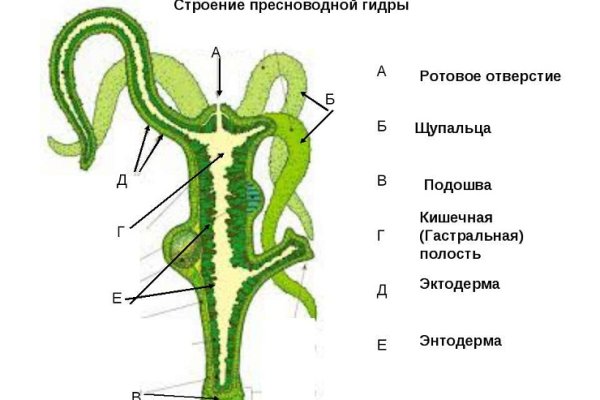 Сайт кракен что это такое