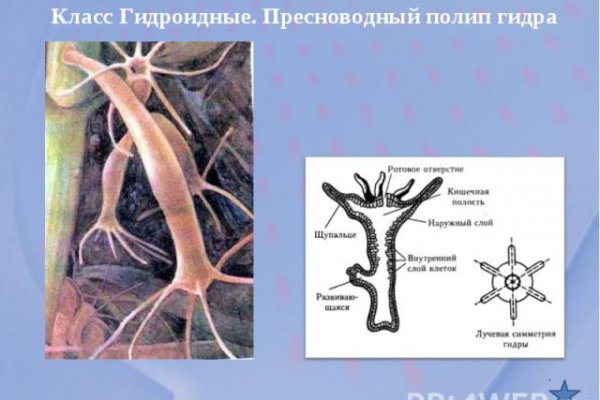 Кракен 17 рабочая ссылка