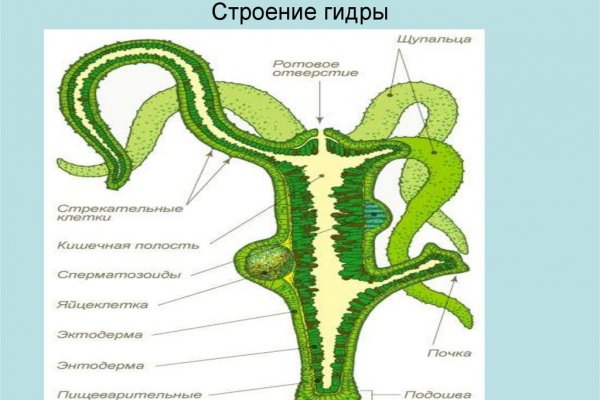 Кракен сайт kraken014 com